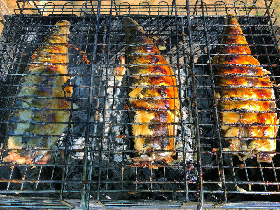 grilled fish