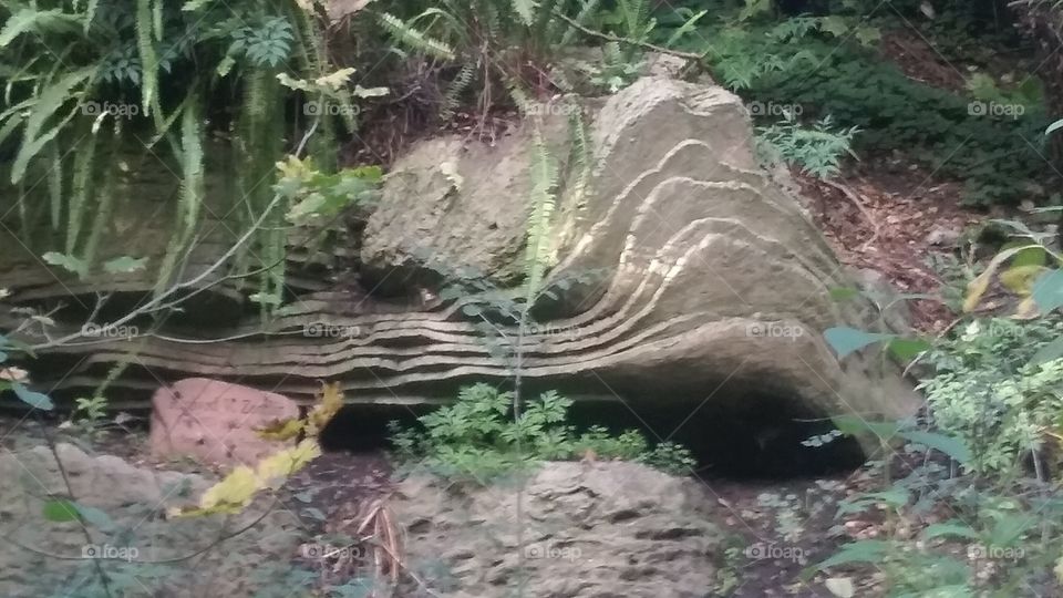 rock formation in a park in San Francisco