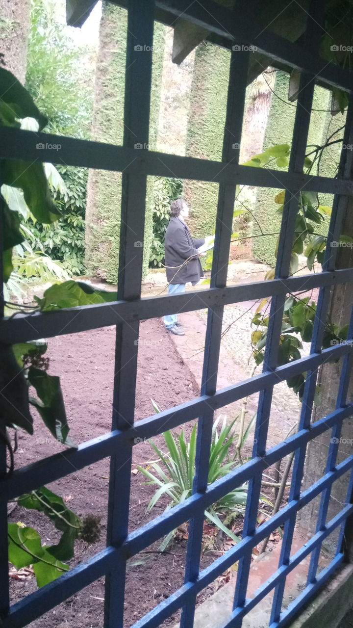 navigating through the eyes of a window in mount Stewart, North Ireland
