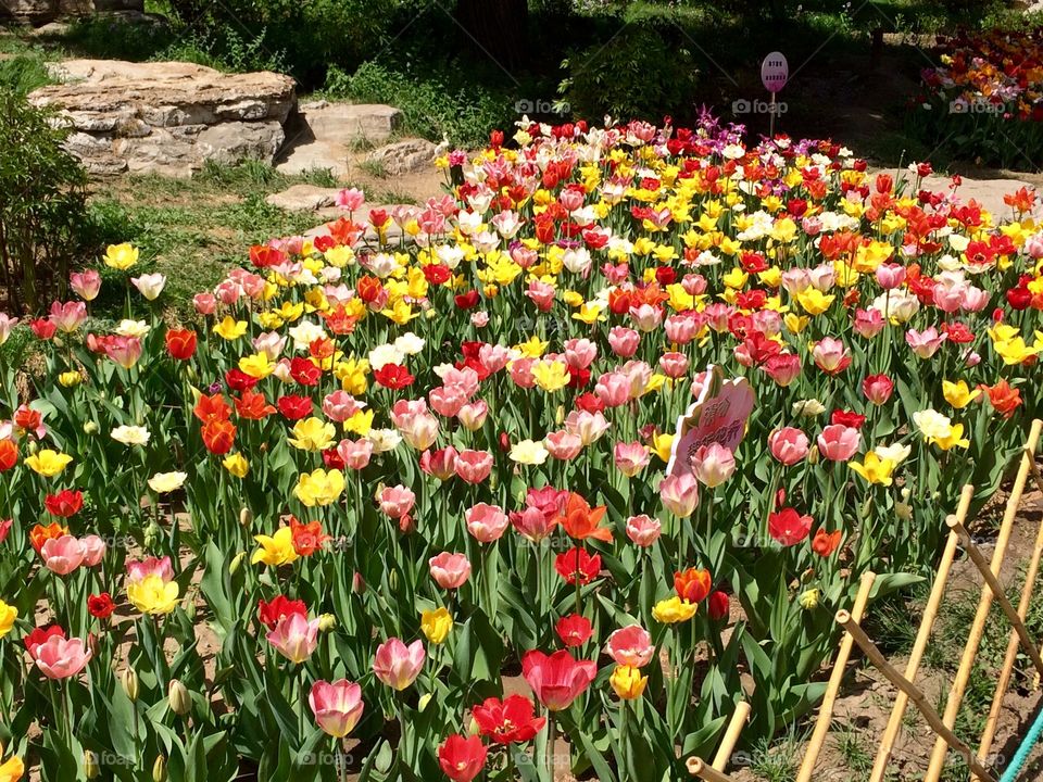 Spring mood 😎🌷🌸🌺🌹💐