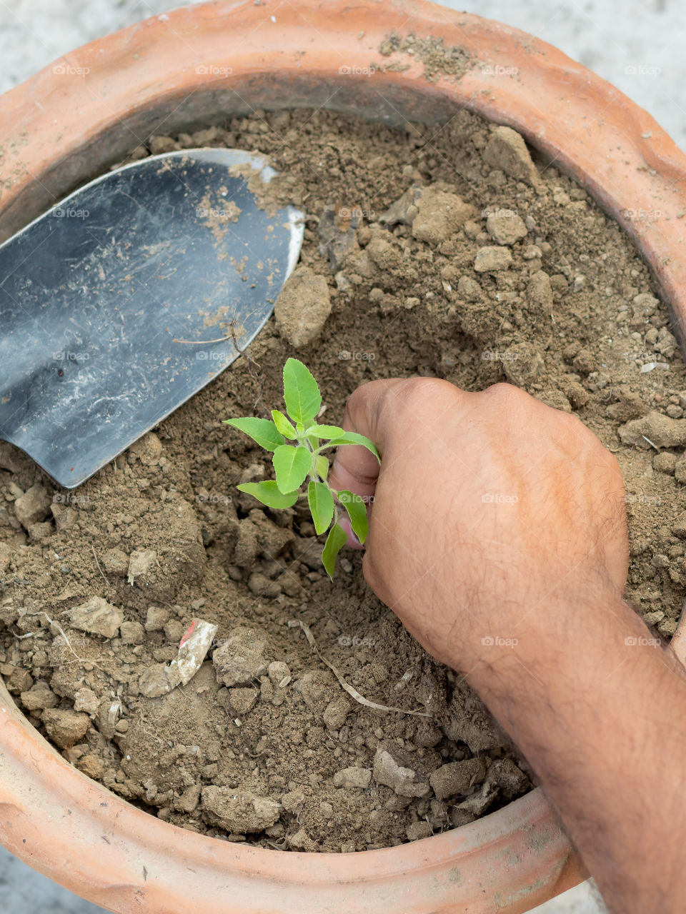 Gardening