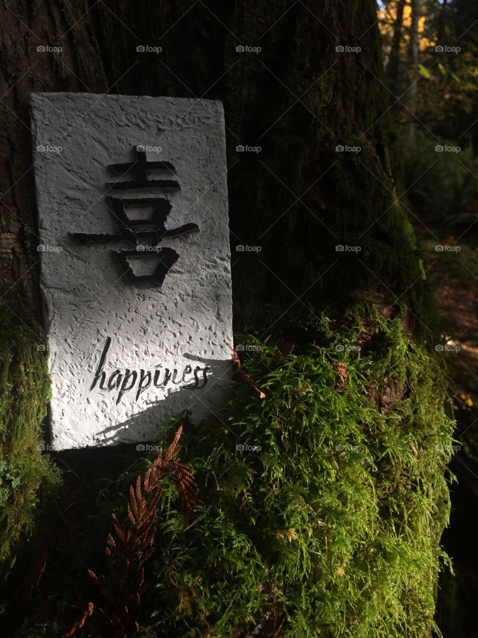 On a walk on the trail in our neighborhood before lunchtime on my day off in the middle of the week...I found peace. Someone had put a peace sign up and the sun lit it up just perfectly.