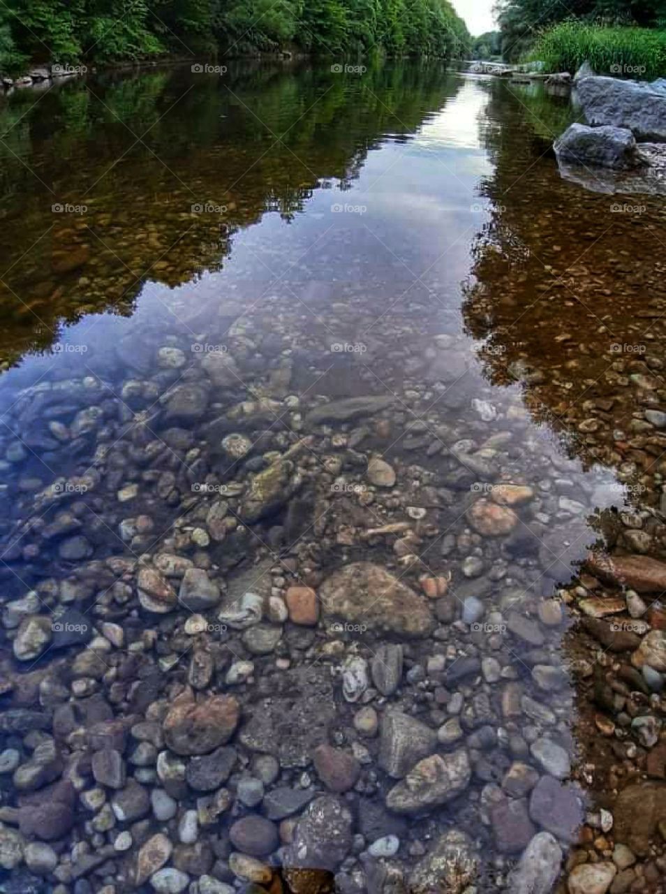 A nice view under water