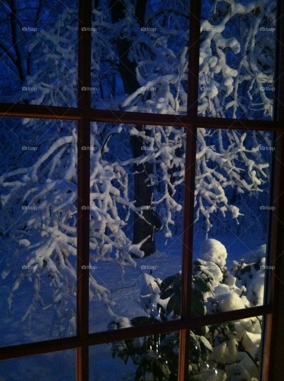 Snow window