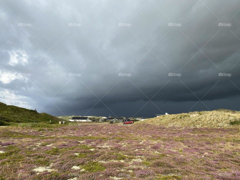Vor dem Sturm in der Heidelandschaft Dänemarks/ Before the storm in the heath landscape of Denmark