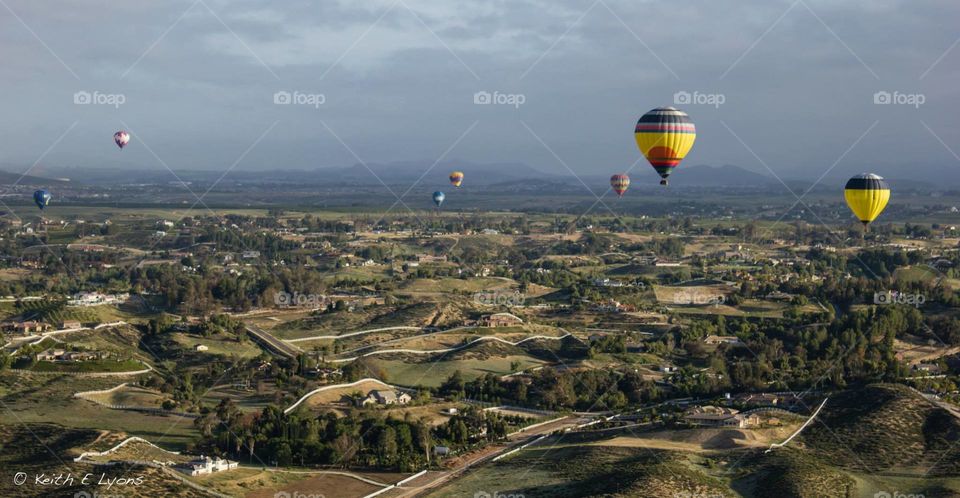 Balloons in the air