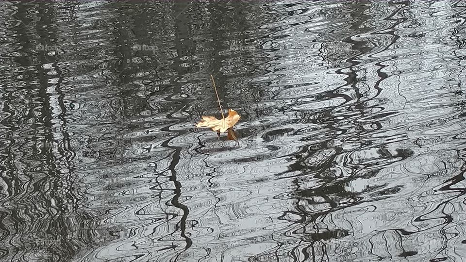 No Person, Desktop, Nature, Old, Wood