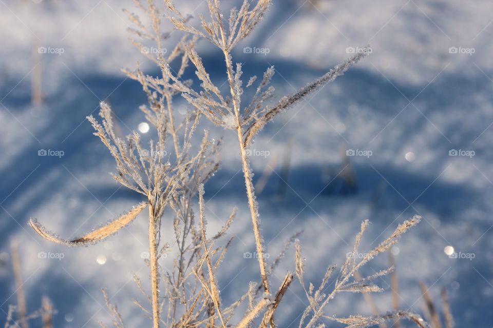 Close-up frosty straw