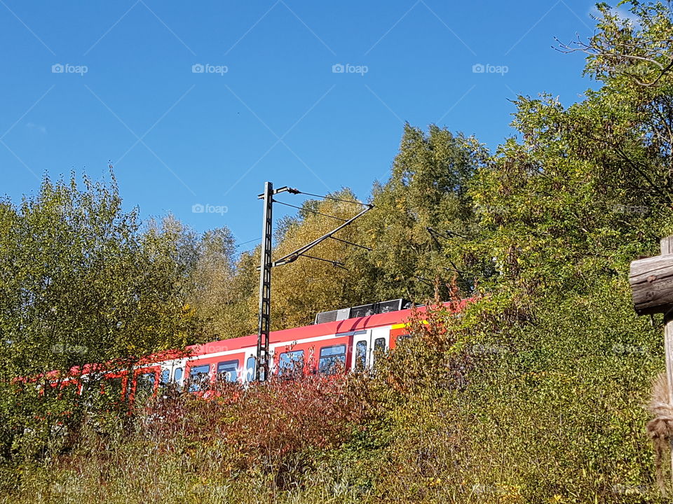 S-Bahn durch Wald