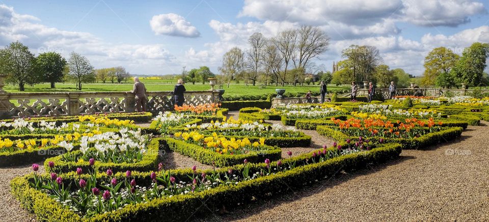 Gardens. Stately home 