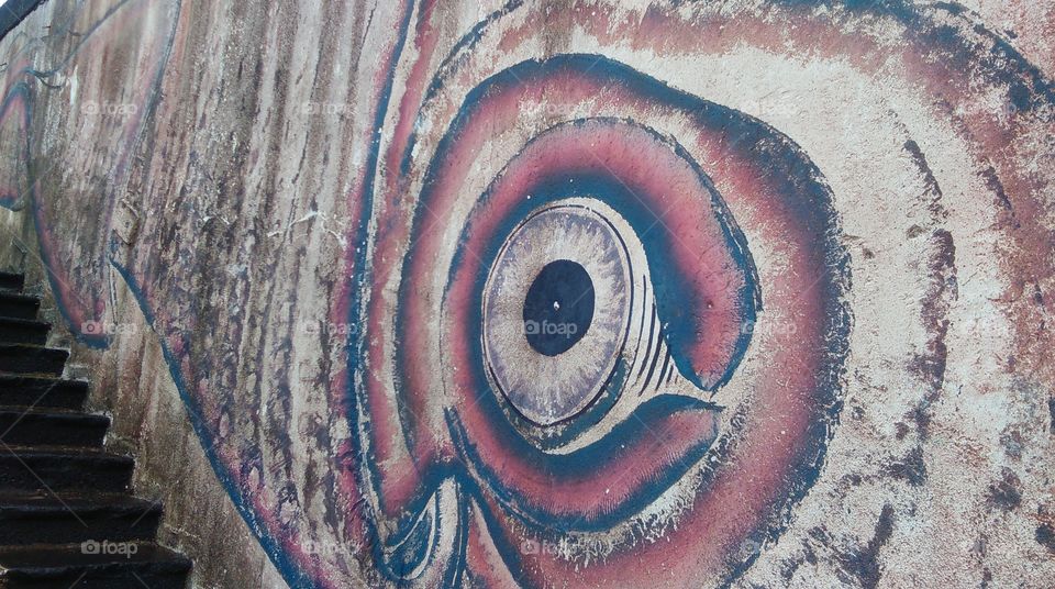 eye of the squid