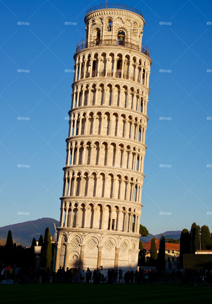 The Pisa tower by sunlight 