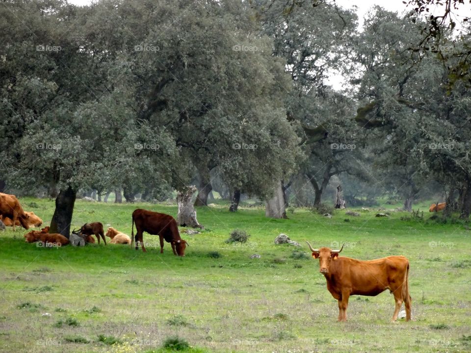 Hike outside Sevilla, Spain