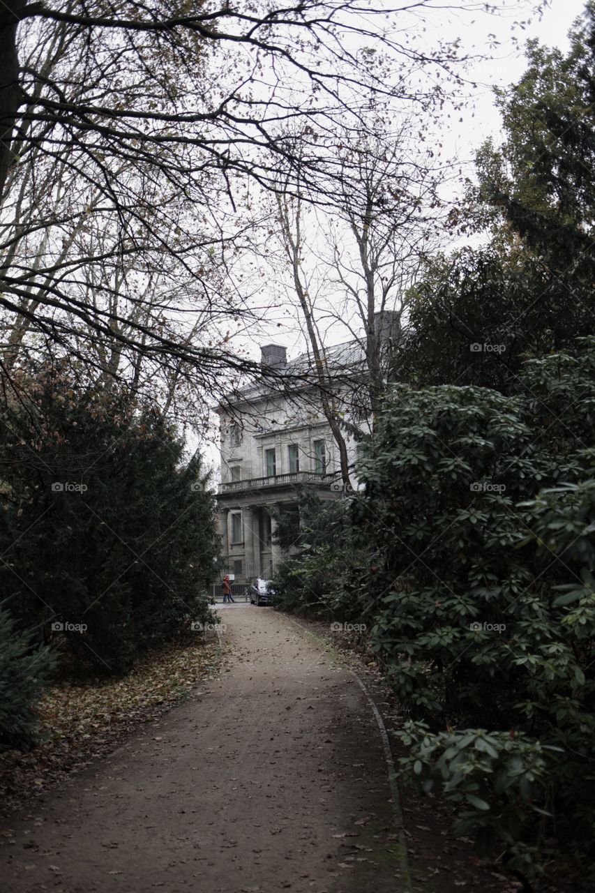 House in the forest