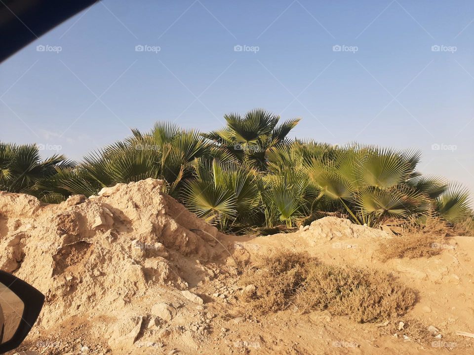 Please make me happy, I am poor, I need your help with support