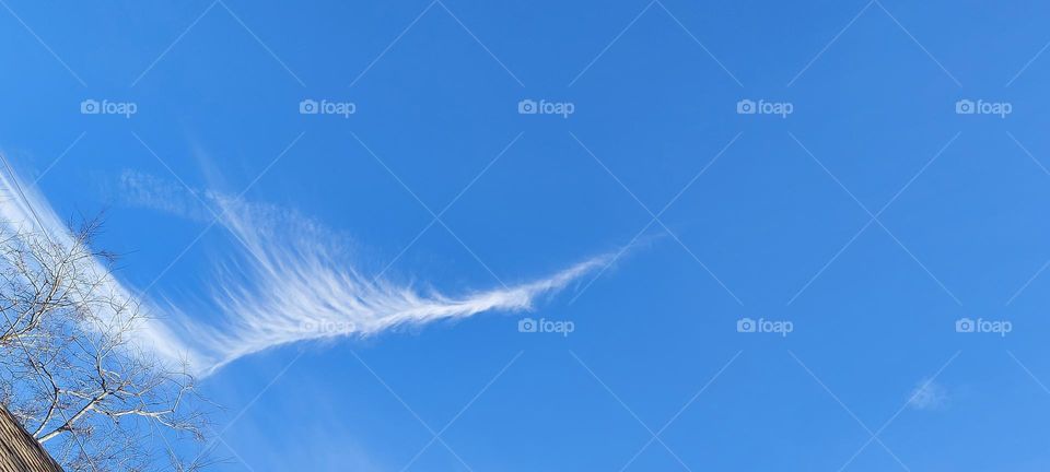 A Whispy,Feather Looking Cloud