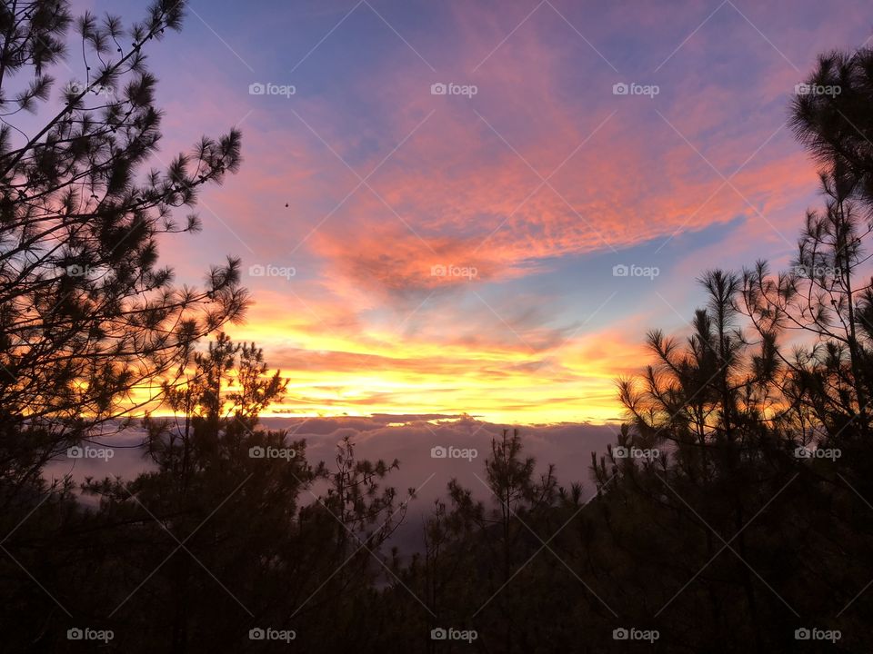 Golden sunrise above the clouds