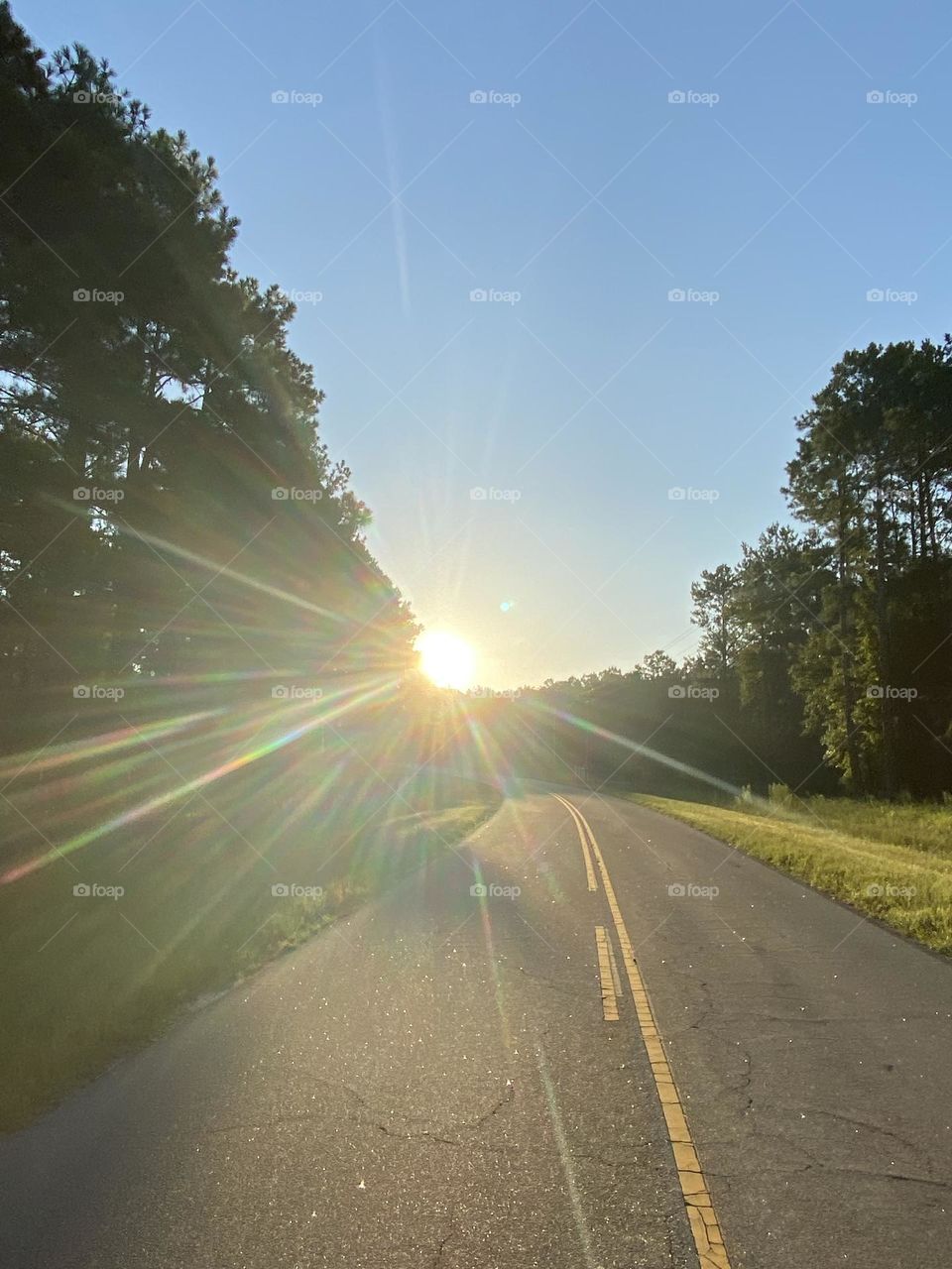 The bright sun peeping from behind the trees