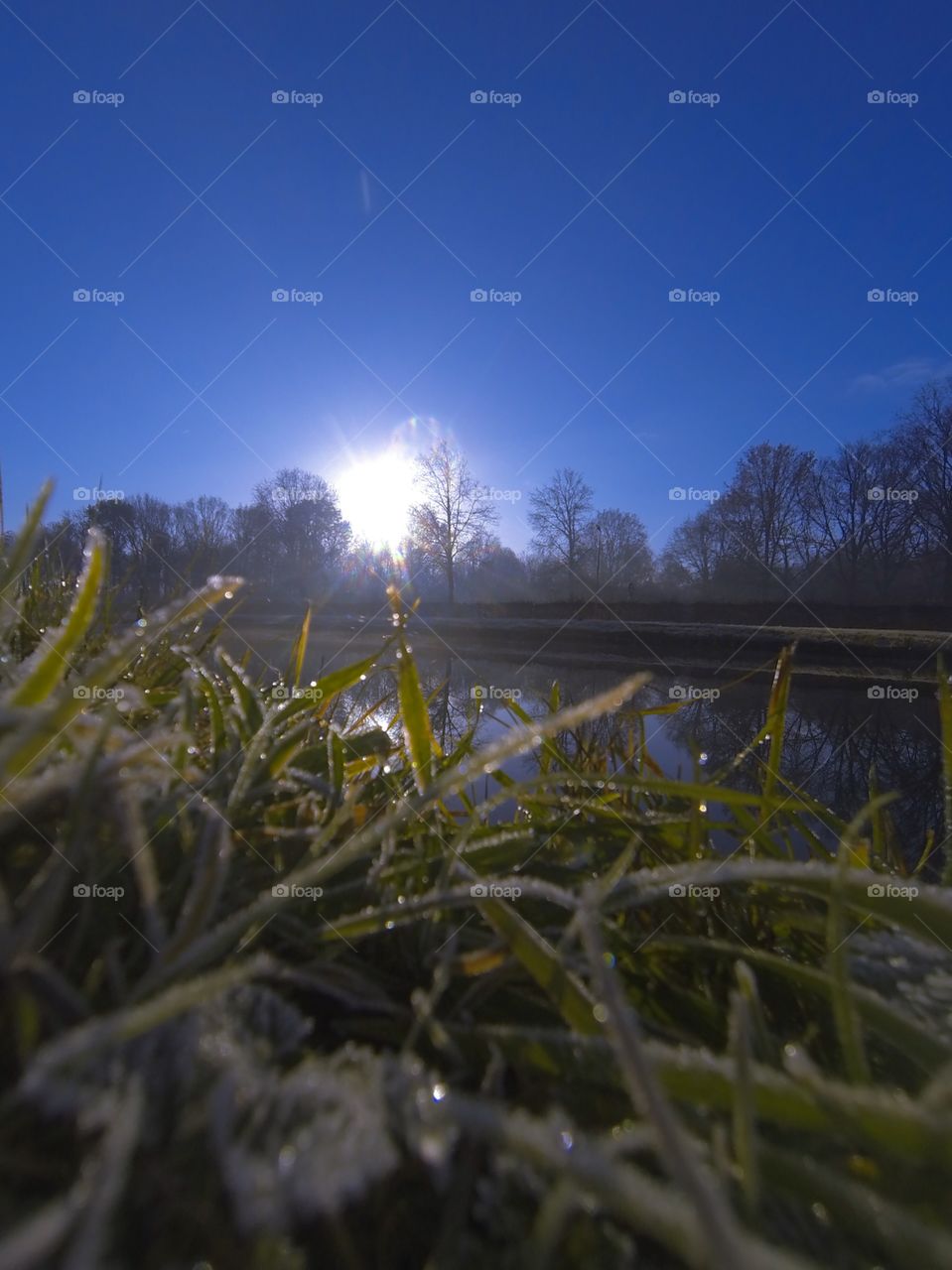 Countryside sunrise showing the colorful sky over the frozen grass