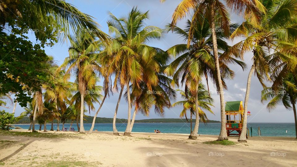 Vieques Sun Bay