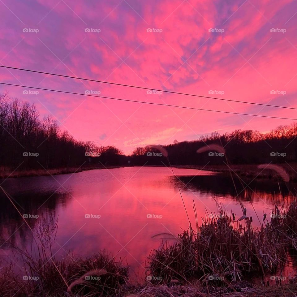 pink sunset