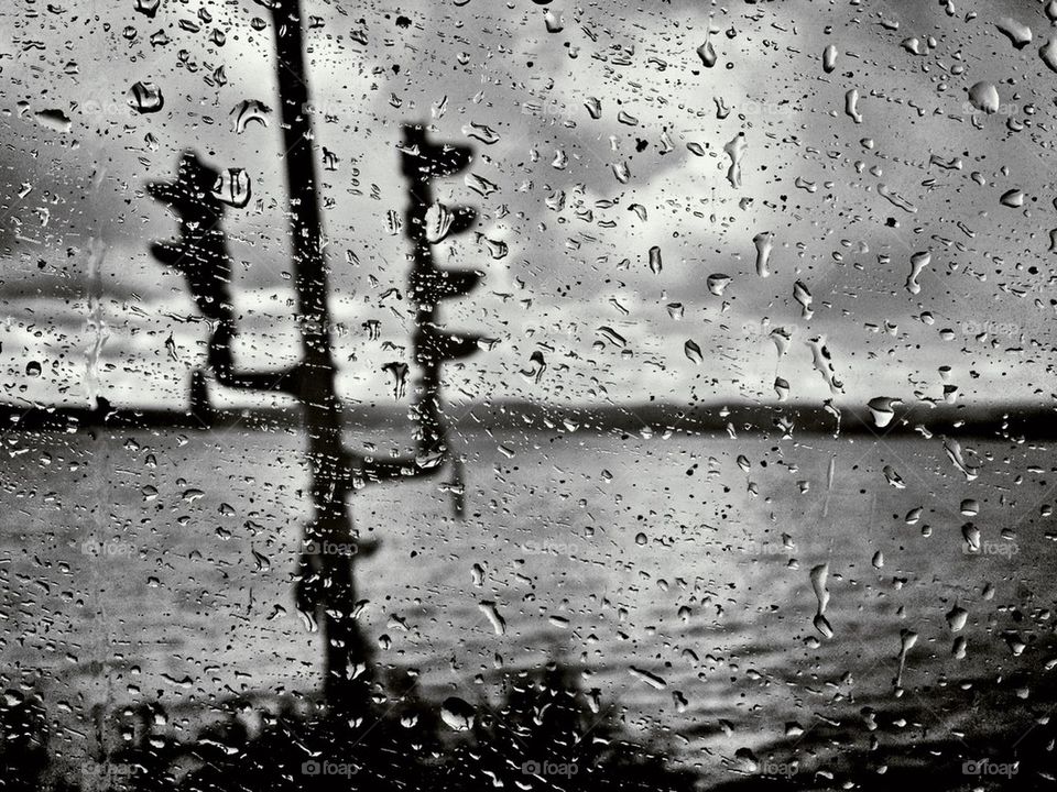 Rainy view from train. Sweden.
