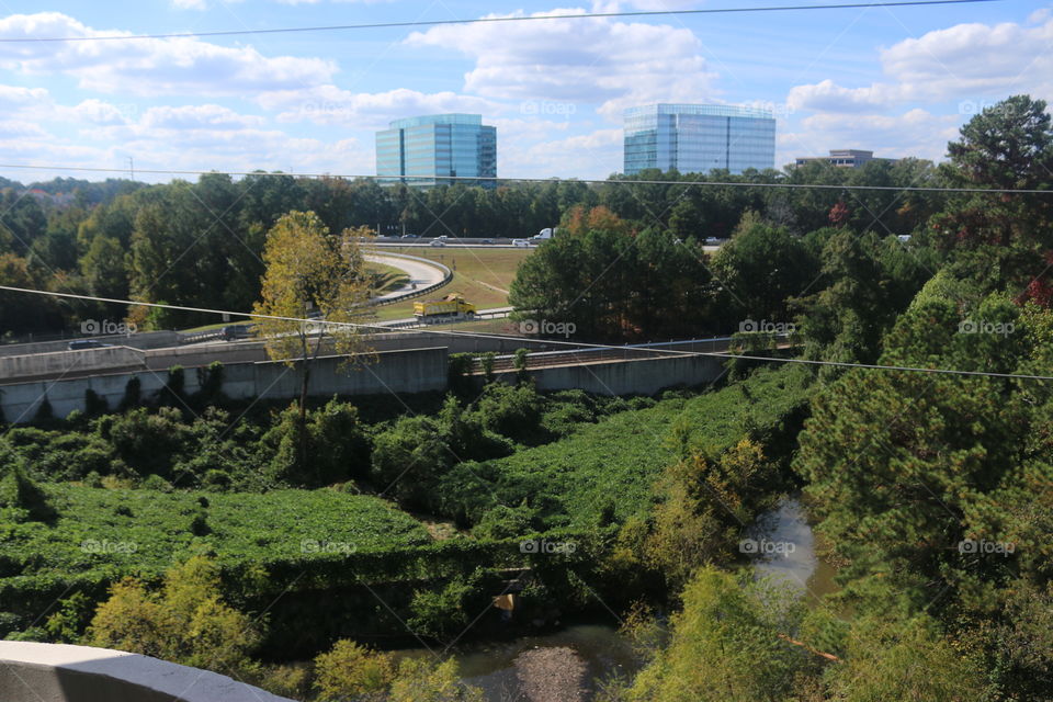 Tree, River, Landscape, Road, Water