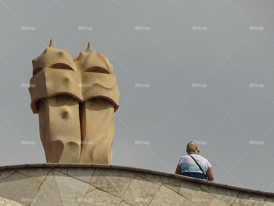 The tourist on the roof