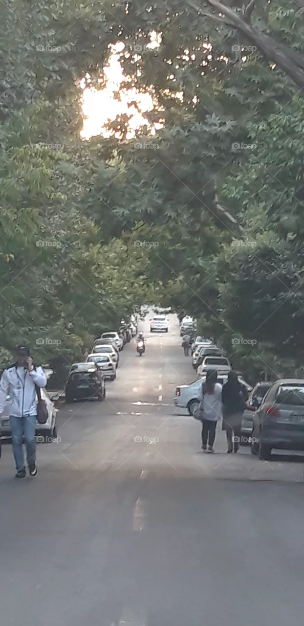 street