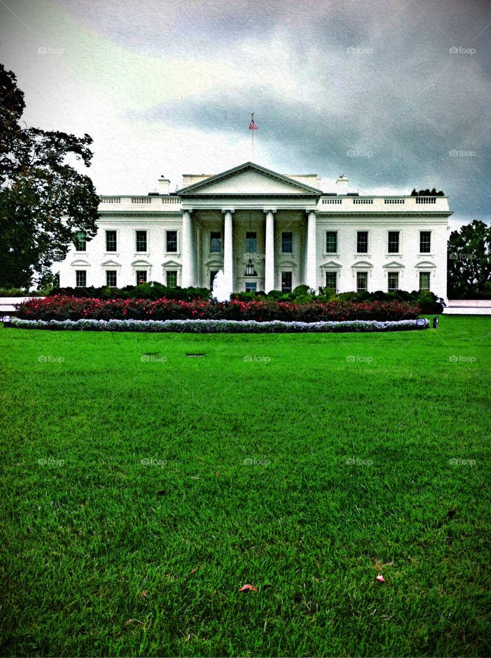 The White House