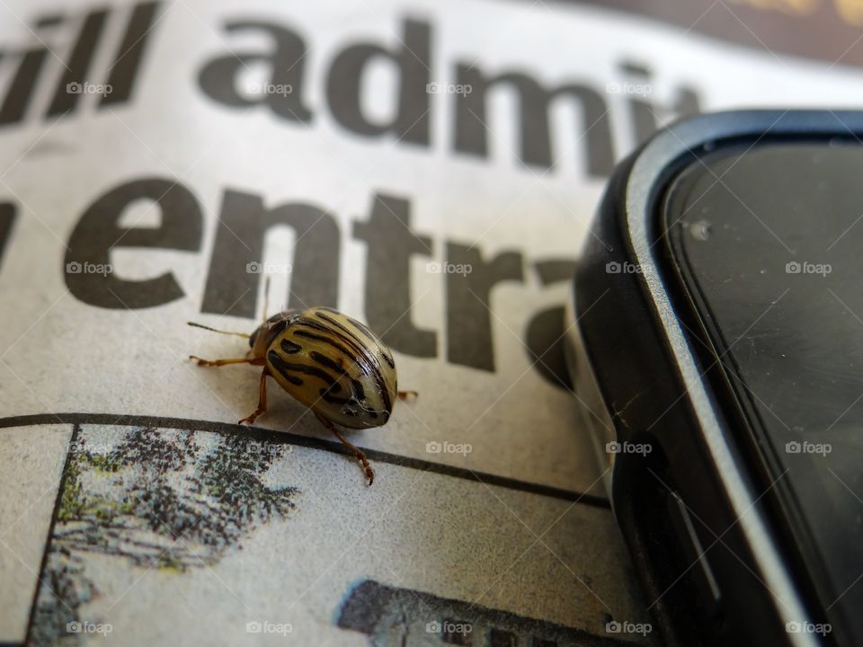 Bug free. A bug free technology for a better life