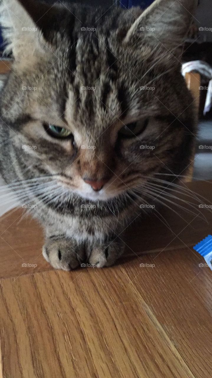 Now I’m looking you in the eyes