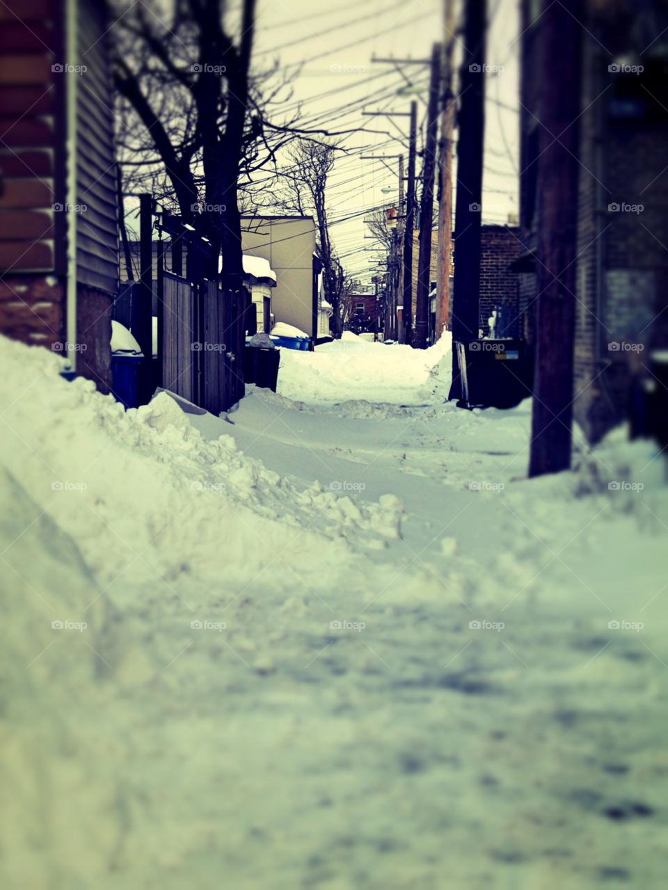 snow winter city fence by squishypie