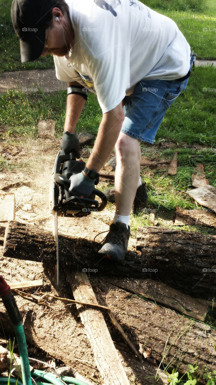 Chainsaw. Cutting Wood