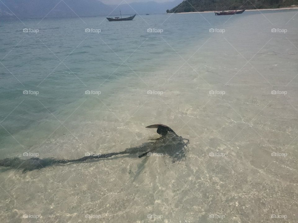 Water, Ocean, Beach, No Person, Sea