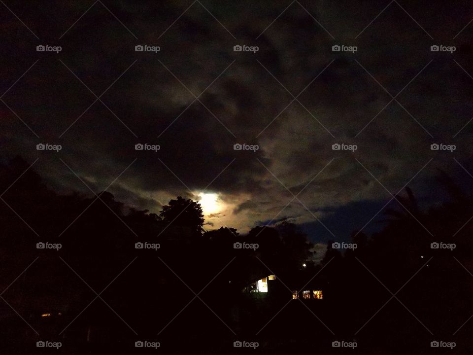 Artifical and natural light