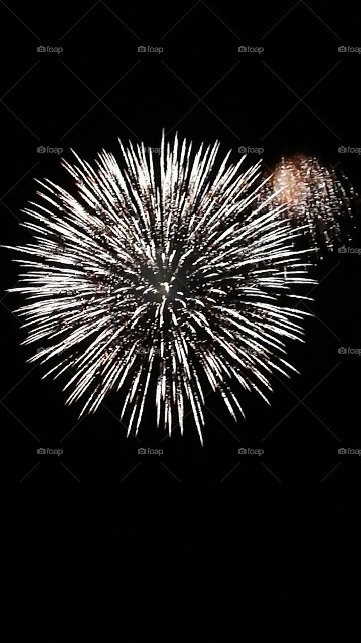 Fireworks in the night 
