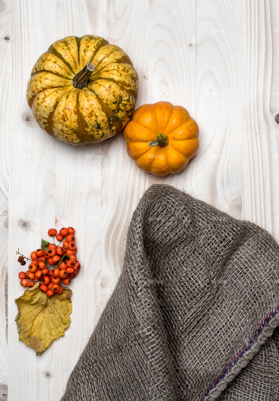 pumpkins and rowan on white wooden background, view from the top