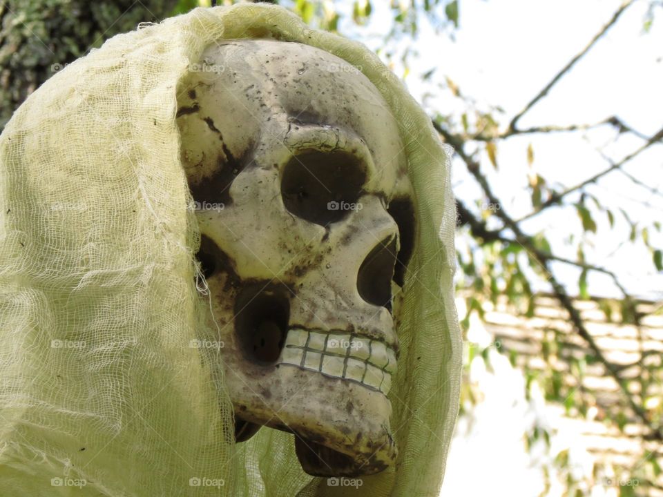 A skeleton themed Halloween decoration staged in a garden.
