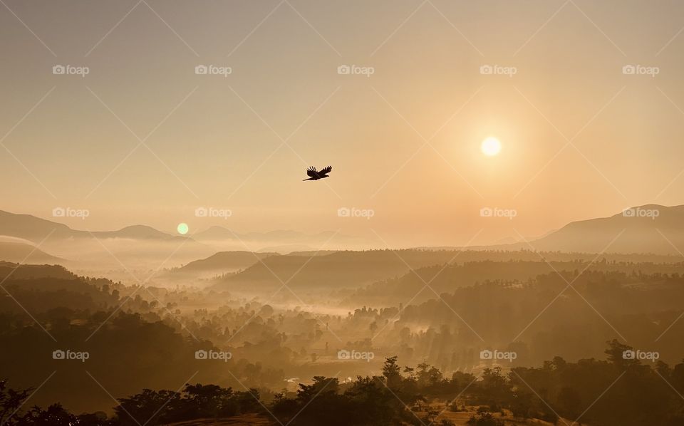 “Even the birds are chained to the sky.” 🕊