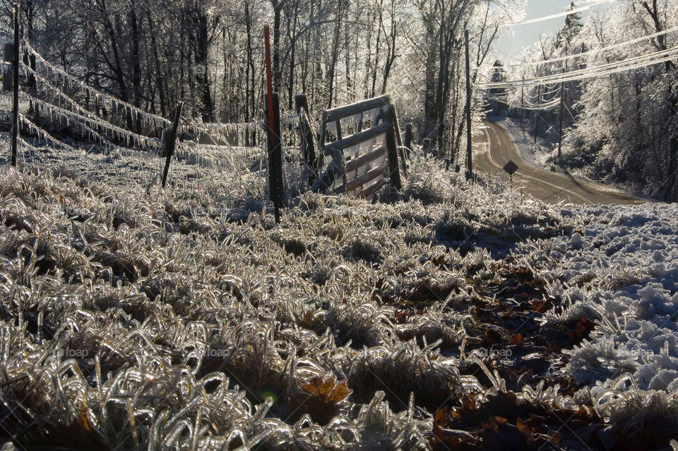 And ice encased landscape after an ice storm