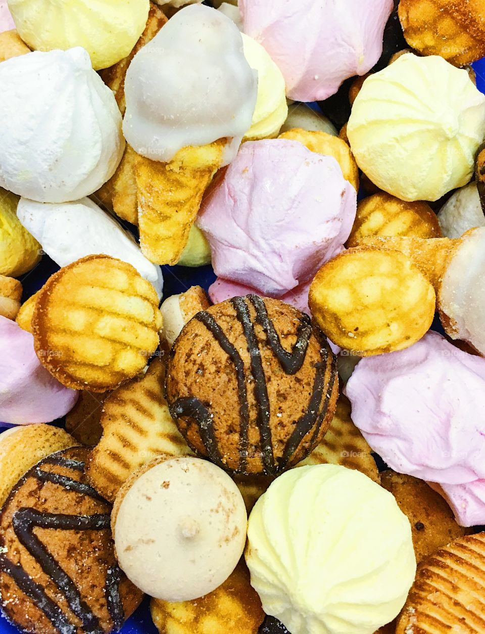 Sweet Biscuit Cookie Colors