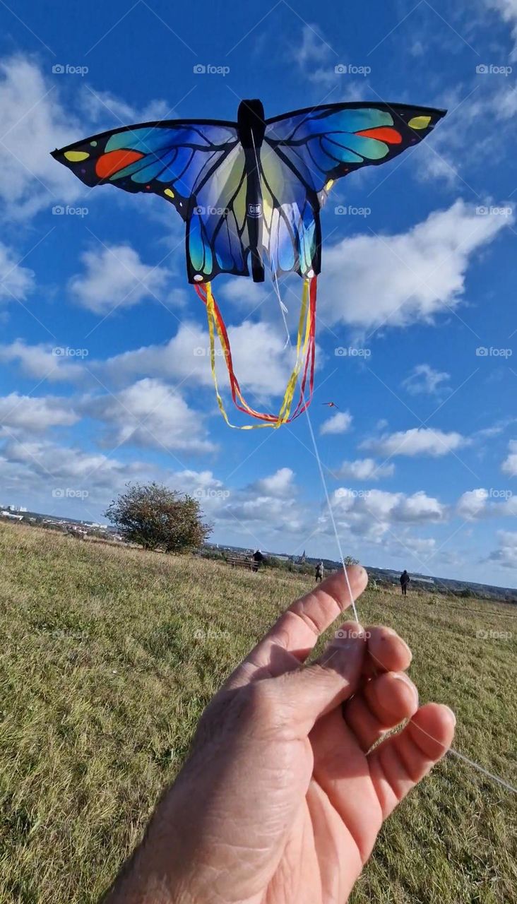 Kite over the sky