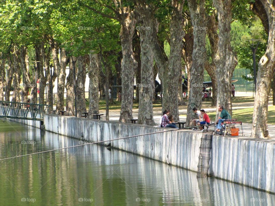 River fishing trees green bridge working