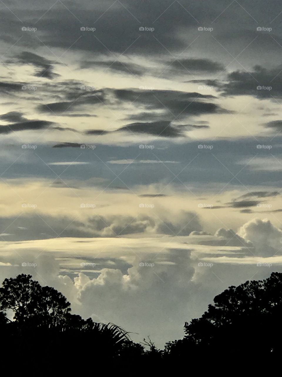 Heavenly Tree line view of skyline clearing up after a storm in St. Augustine. 