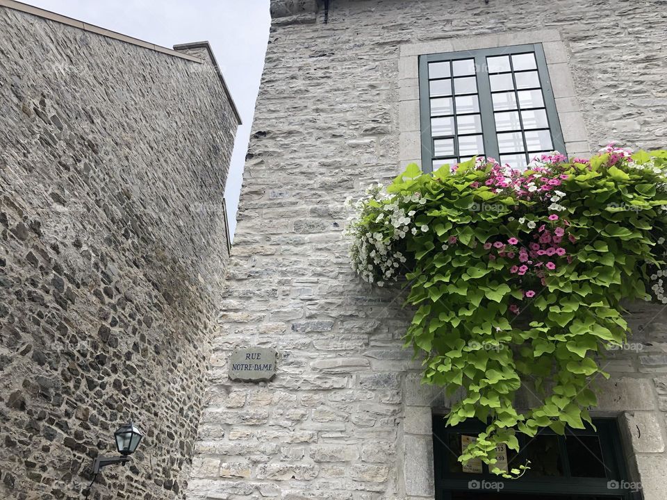 Plants at the window on a stone house