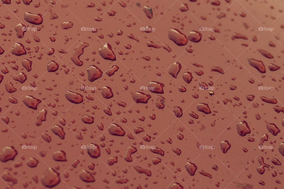 Close Up Waterdrops At Red Background At Amsterdam The Netherlands 15-9-2022