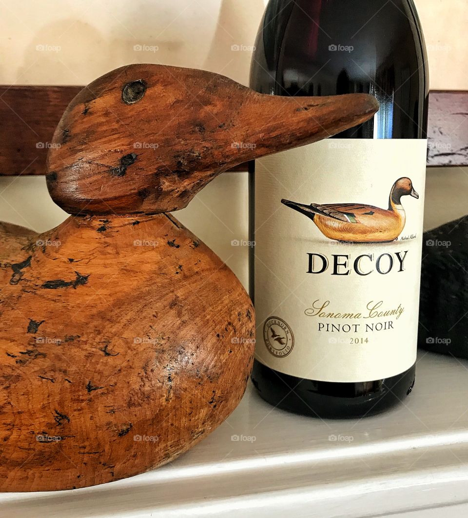 Duck decoy