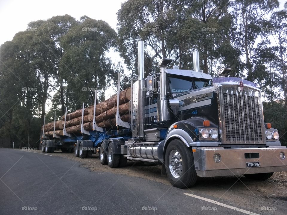 kenworth 909 on the logs
Victorian high country