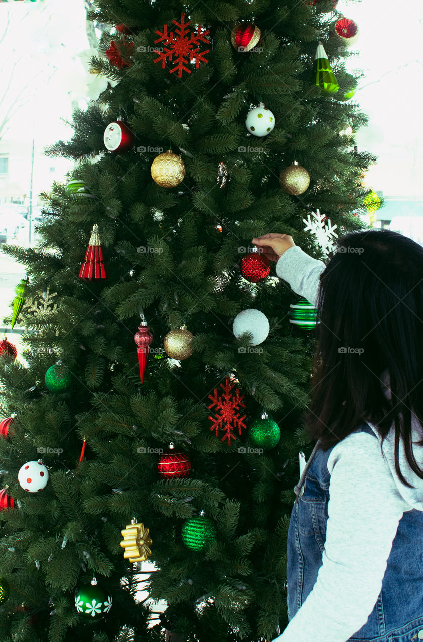 Christmas, Winter, Tree, Christmas Tree, Pine